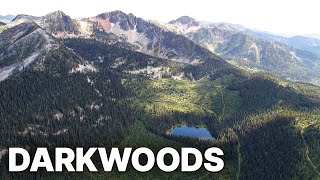 Darkwoods - Where Nature Survives | Free Documentary