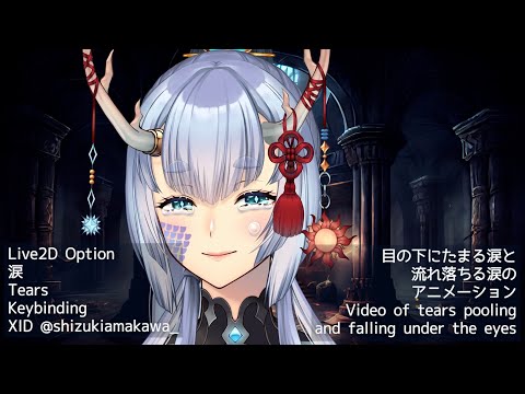 [Live2D Model Options]涙　tears