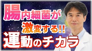 【腸活】運動で腸内細菌が変わる？運動が腸に与える驚きの健康効果【がん予防】【ダイエット】【免疫力向上】