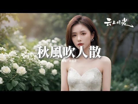 向思思 - 秋風吹人散『秋風吹人散秋雨滴滴落心間，誰思念太深將秋水望穿，舊事兩相忘舊人從此兩相斷，情深似海難敵歲月變遷。』【動態歌詞MV】