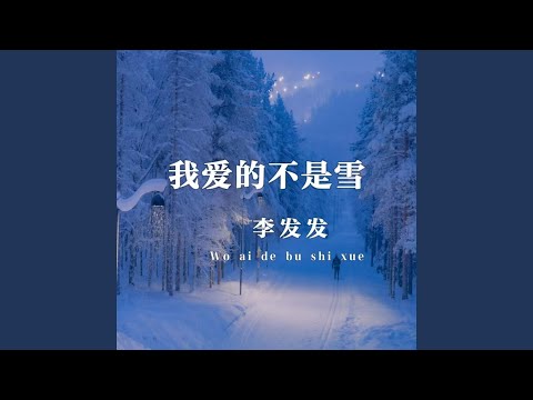 我爱的不是雪