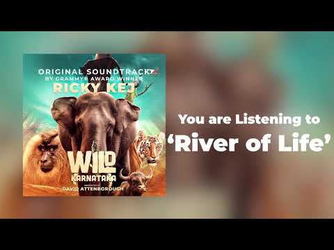 12 Wild Karnataka - River of Life - Original Soundtrack by Ricky Kej