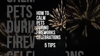 5 Tips To Calm Pets During Firework Celebrations!🐶🐱 #pets #youtubeshorts #life #subscribe