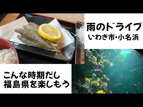 雨の常磐ドライブ　福島県　いわき市　小名浜　風評被害を吹き飛ばしたい