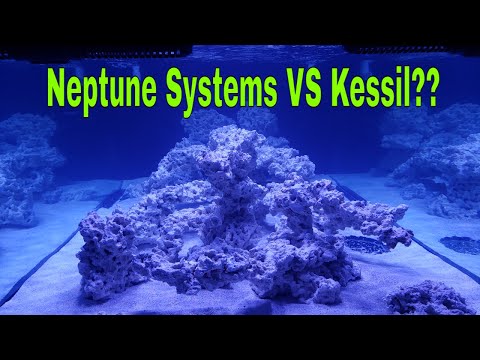 Neptune Systems VS Kessil ???