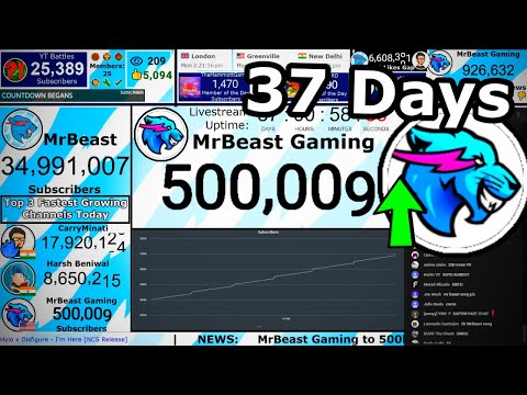 MrBeast Gaming From 3k to 500k Subscribers!!