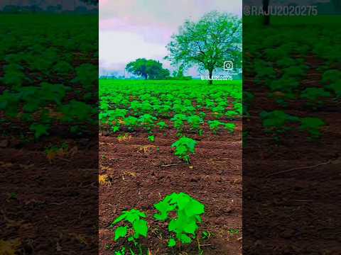 Kisan technical YouTube channel