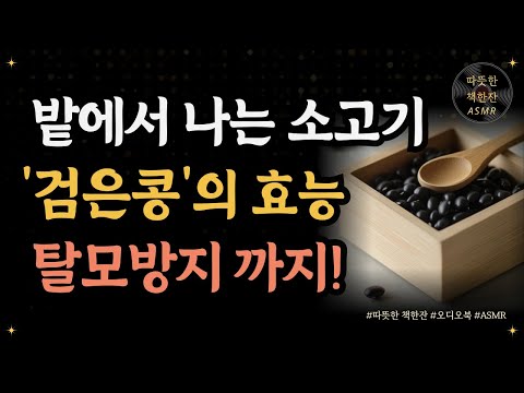 '검은콩'의 효능, 탈모방지 까지!/ 진짜식사 1/ 식사법/ 건강/ 따뜻한책한잔/ 책읽어주는여자/ 책리뷰