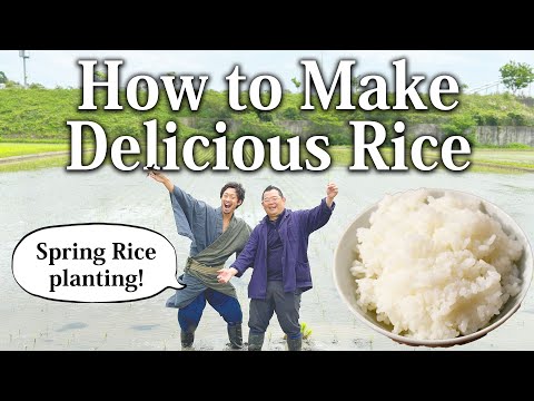 How to Make Delicious Japanese Rice | Vlog (Part 2/3)