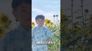 ひまわり畑でお散歩！2歳児と一緒に自然を楽しむ素敵な一日 #2歳児 #ひまわり畑 #親子のお散歩