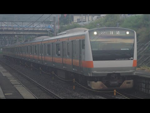 E233系　みどり湖駅通過