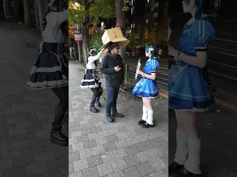 【珍事】秋葉原に立ってる、コンカフェ嬢に話しかけたら・・・　#shorts #メイドカフェ #コンカフェ