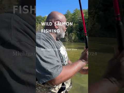 WILD SALMON FISHING #youtubeshorts #fishing #salmonrun #shorts  #fypyoutube