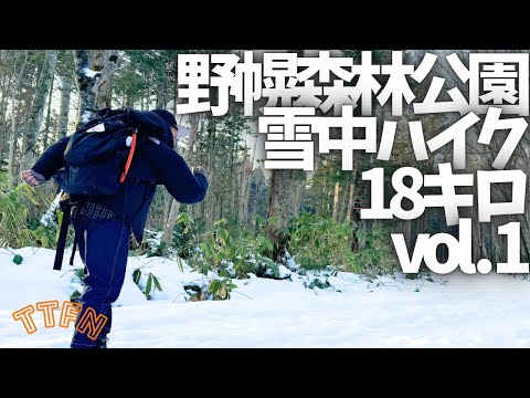 〝雪中ハイク〟１８キロをライトに歩く/北海道野幌森林公園vol.１