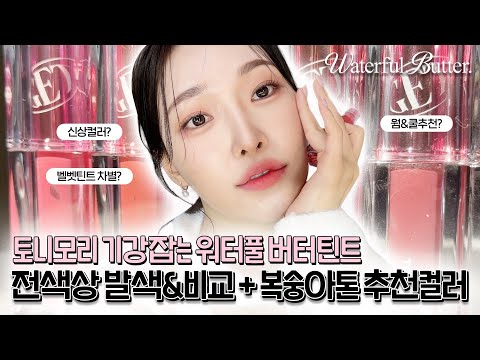 cc) 💛토니모리 기강잡는 버터틴트💛전색상비교+리뷰+컬러추천까지ㅣ아랑