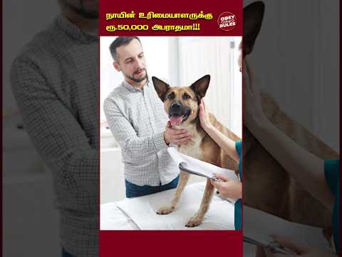 நாயின் உரிமையாளருக்கு ரூ.50,000 அபராதமா!!! #dog #dogawareness #Chennai #otr #obeytherules