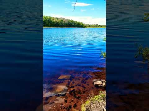 Hiking by the lake #hiking #lake #shorts