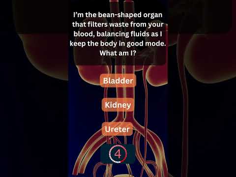 Did You Know This About Your Urinary System? 💧 #UrinarySystem 1