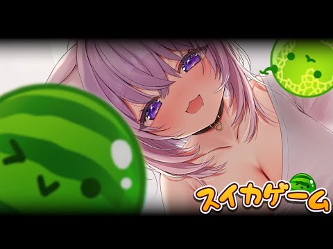 【 スイカゲーム 】こんにちは、スイカゲーム―― 🍉【 猫又おかゆ/ホロライブ 】