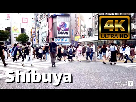 【4K】Shibuya Crossing - Walk to watch Live Music