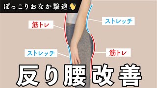 【ぽっこりお腹の原因】反り腰は縮んで硬くなった股関節・前ももを伸ばすと変わる！