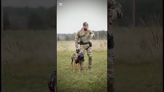 #k9trainer #dog #dogsoftiktok #trending # trainingdogs#k9 #tactical#viralshorts #fyp