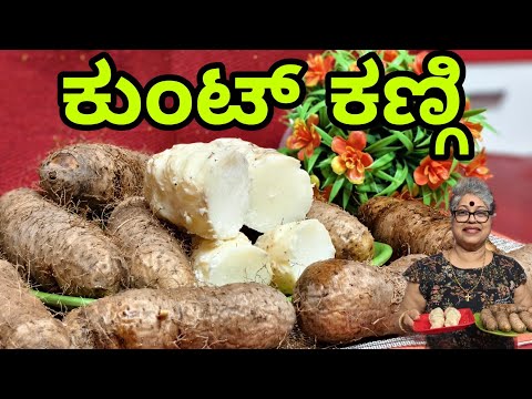 Kunt kengi|Dioscorea Esculenta tubers | Health benifits| Old traditional taste of Mangalore