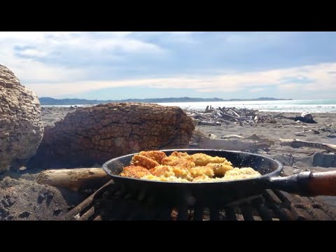 Fishing & Fish Bites, Gisborne New Zealand