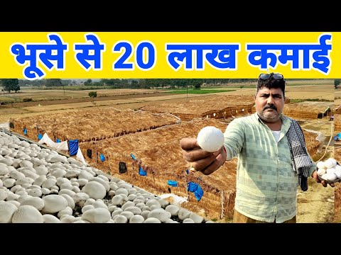 यूपी के प्रधान जी मशरूम की खेती से कमाते हैं 20 लाख | Mushroom farming in india