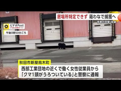 秋田市新屋の工業団地で「クマうろついている」と通報　居場所特定できず箱わな設置して警戒 (24/12/13 19:00)