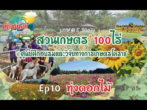 #กางเต้นท์ Ep10 #แค้มปปิ้ง #ชมทุ่งดอกไม้