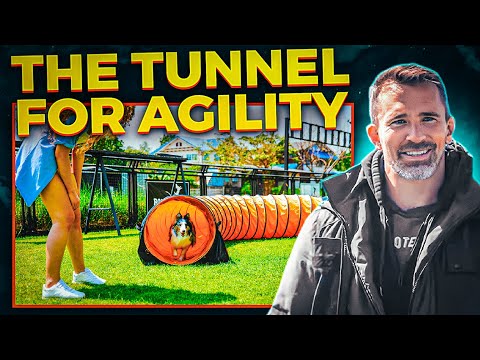 Easily Teach Your Dog The Tunnel For Agility.