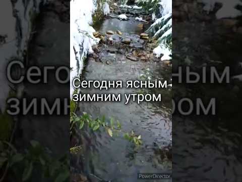 С добрым зимний утром музыкальная открытка #shorts