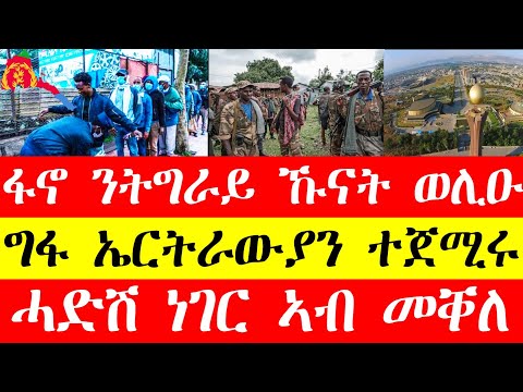 ፋኖ ንሰራዊት ትግራይ መጥቃዓቲ ከፊቱ፣ግፋ ኤርትራውያን ኣብ ኣዲስ ኣበባ ተጀሚሩ፣መቐለ ሓድሽ ነገር Feb15#tigray #eritrea #tigrinyanews