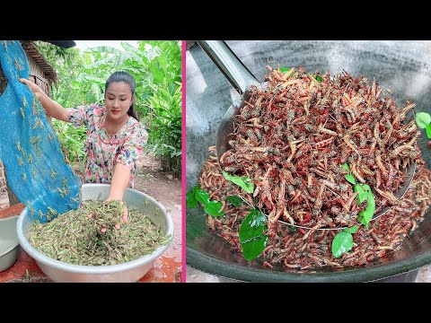 Delicious grasshopper cooking with country style - Cooking with Sreypov