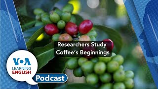 Learning English Podcast - Coffee's Beginnings, Dubai Rainfall, Internet Bots