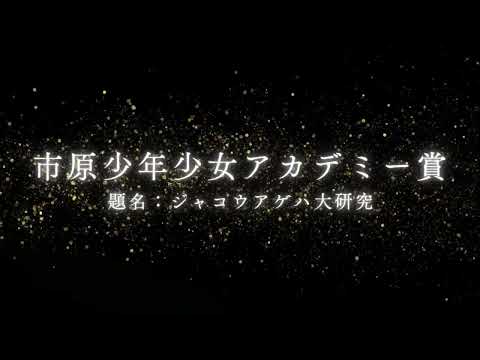 令和5年度市原市科学工夫作品展入賞者作品紹介