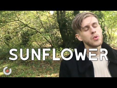 Post Malone, Swae Lee - Sunflower | Cover by Kyle Roberts (Spider-Man: Into the Spider-Verse)