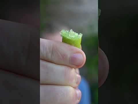 This bizarre fruit is oddly satisfying - Finger Lime