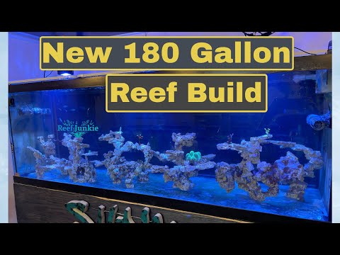 New 180 Gallon Reef Tank And Fish Room Build