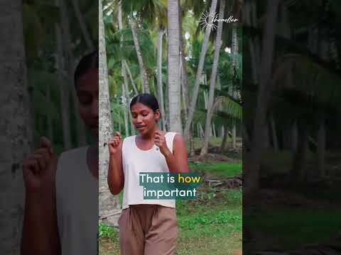 Exploring the Coconut Industry of Sri Lanka