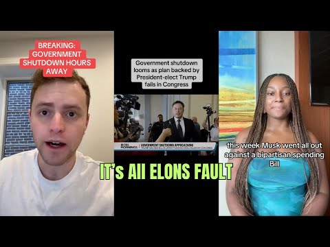 The Government Shutdown... People Are Blaming Elon Musk