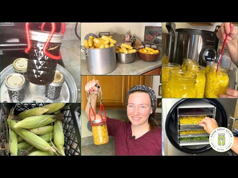 How to Preserve Corn 4 Ways 🌽