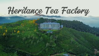 Exploring Sri Lanka's Highest Altitude Hotel - Heritance Tea Factory