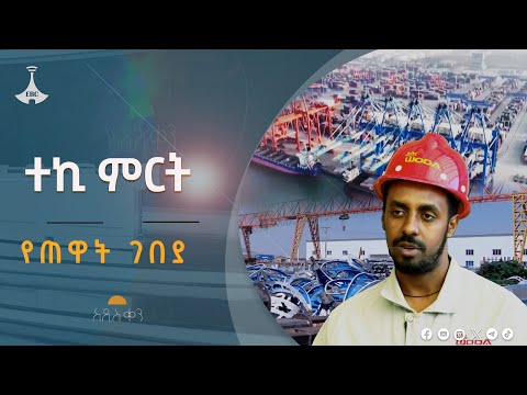 ተኪ ምርት- የጠዋት ገበያ #etv #EBC #ebcdotstream Etv | Ethiopia | News zena