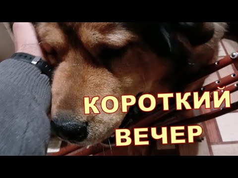 ДНЕПР 30.11 🤫🤫 КОРОТКИЙ ВЕЧЕР