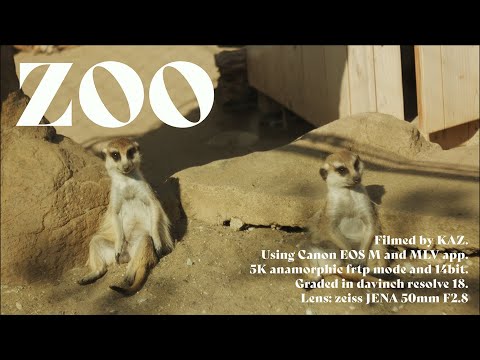 【003 ZOO】Canon EOS M Film |  Magic Lantern RAW Video 14bit | zeiss jena tessar 50mm f2.8