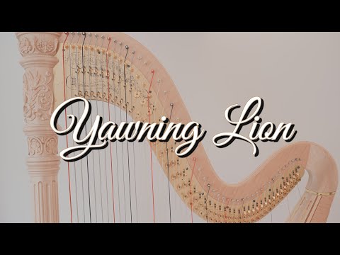 Yawning Lion (Harp Cover) - V.K.