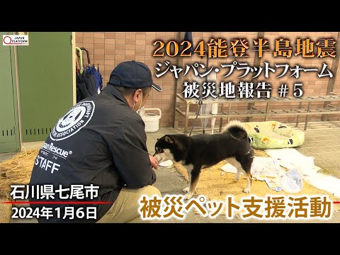 2024能登半島地震　被災地報告 #5「石川県七尾市：被災ペット支援活動」