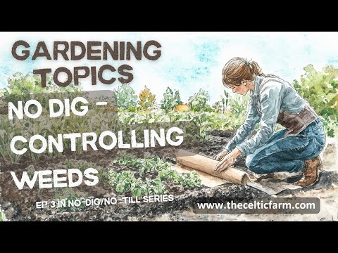 🌱 Master No-Dig Weed Management: Natural Techniques for a Thriving Garden 🌿